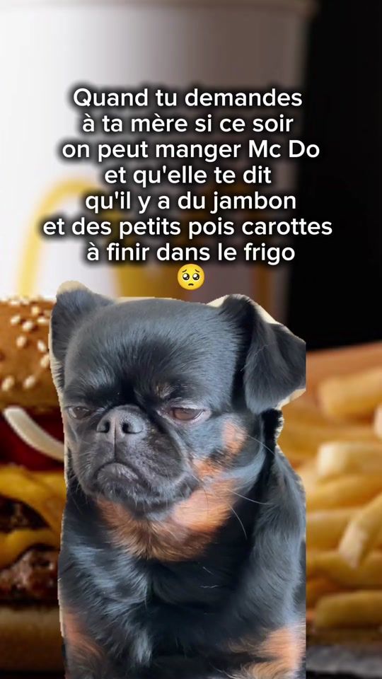 TikTok video thumbnail by kaliminoss