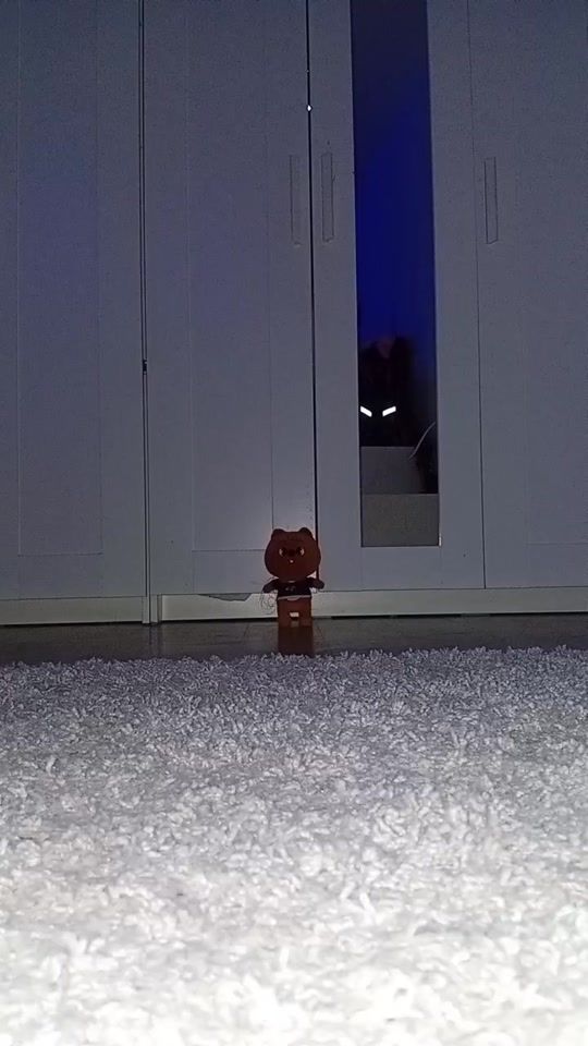 TikTok video thumbnail by quokkaslife