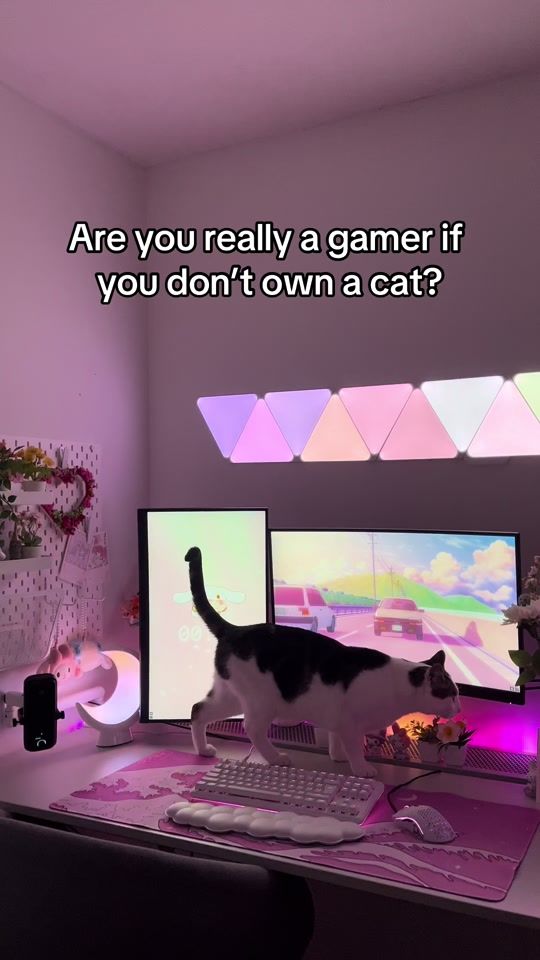 TikTok video thumbnail by minsiely