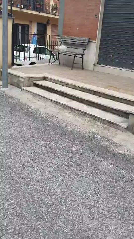 TikTok video thumbnail by stefaniacarrozza3