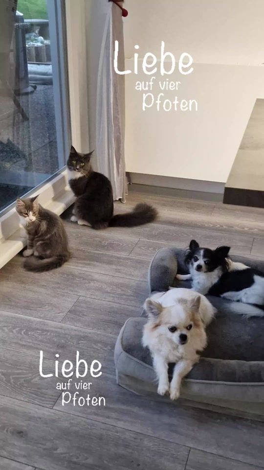 TikTok video thumbnail by powerladystefanie