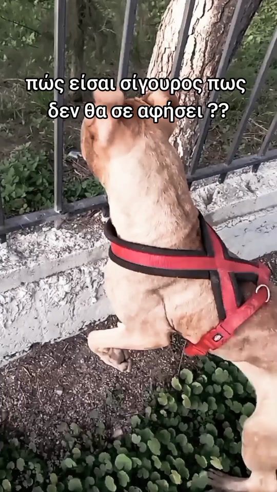 TikTok video thumbnail by arisavra