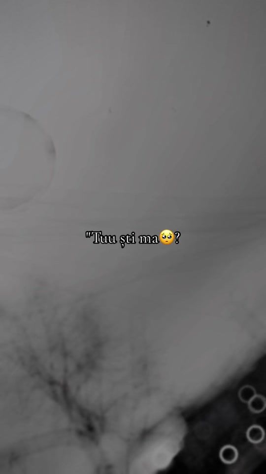 TikTok video thumbnail by mihaelaandreea144