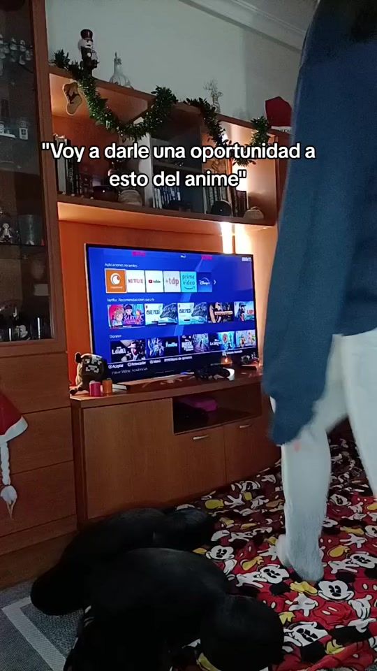 TikTok video thumbnail by desiazeher