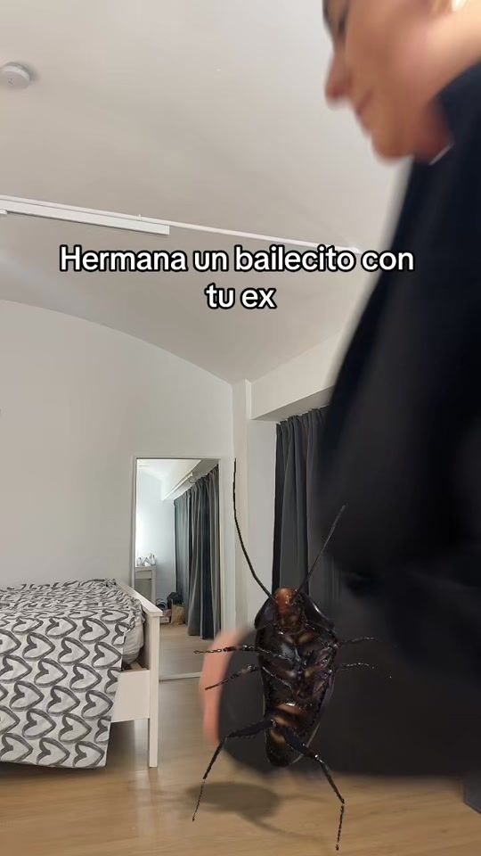 TikTok video thumbnail by martinacampaas