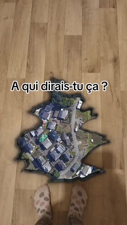 TikTok video thumbnail by lou_reseau