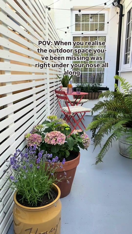 TikTok video thumbnail by mo.and.the.jungle.shelf