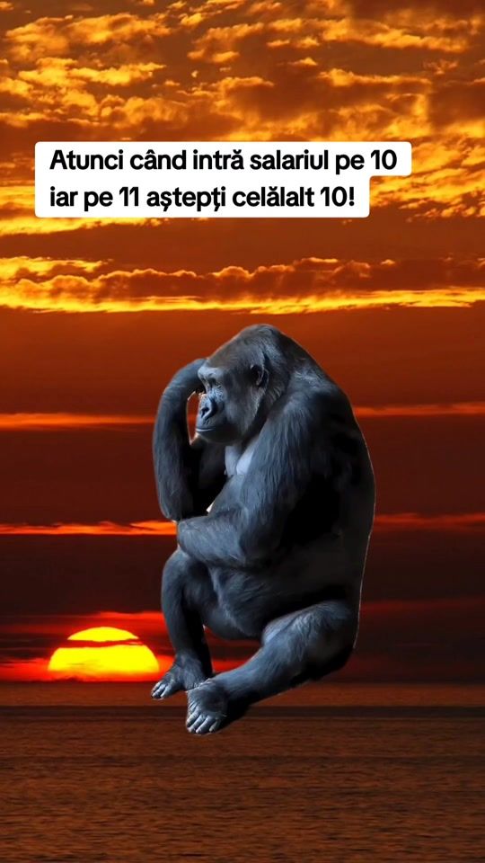 TikTok video thumbnail by george5391