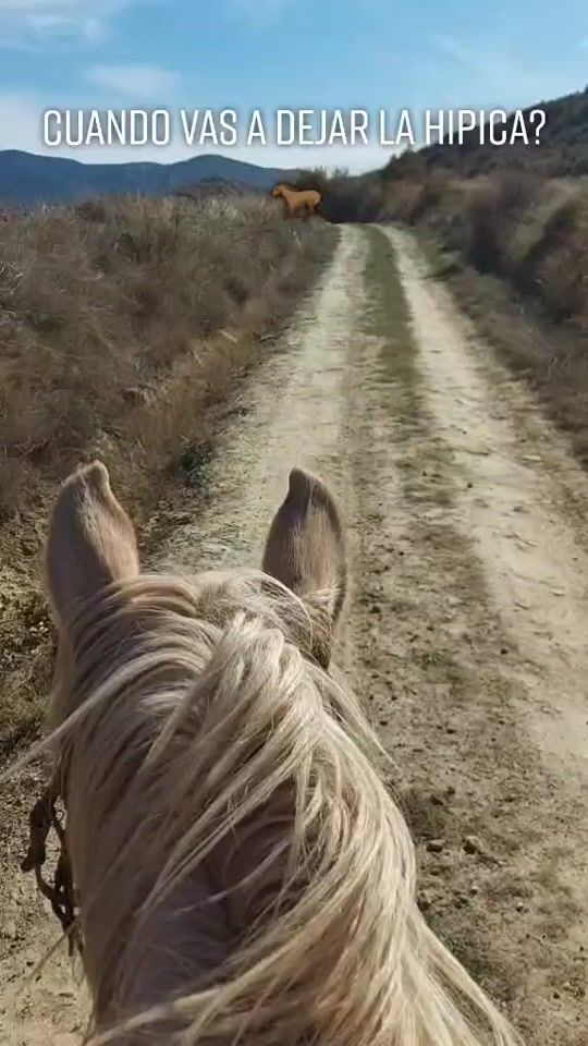 TikTok video thumbnail by cpjessy