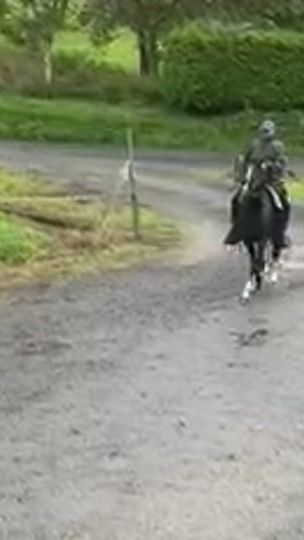 TikTok video thumbnail by jorgitopalmeiro2