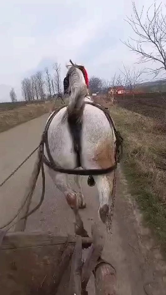 TikTok video thumbnail by ciprian.miron23