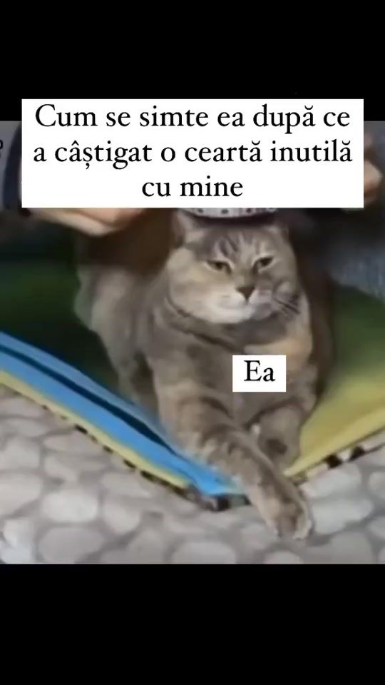 TikTok video thumbnail by baby.amelix26