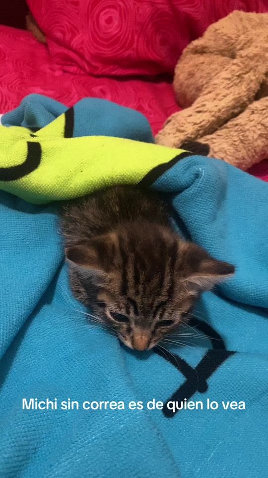 TikTok video thumbnail by _.juuulsss._