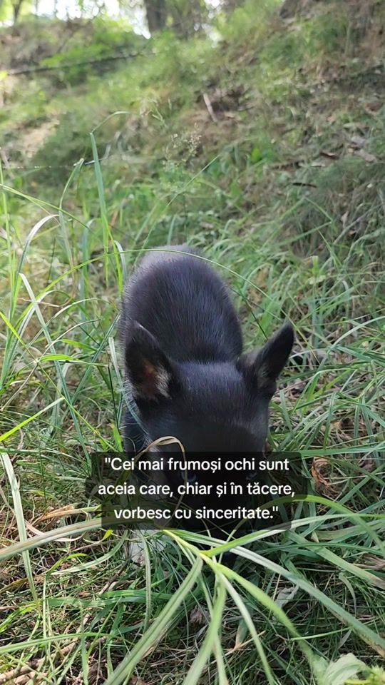 TikTok video thumbnail by nacu4747