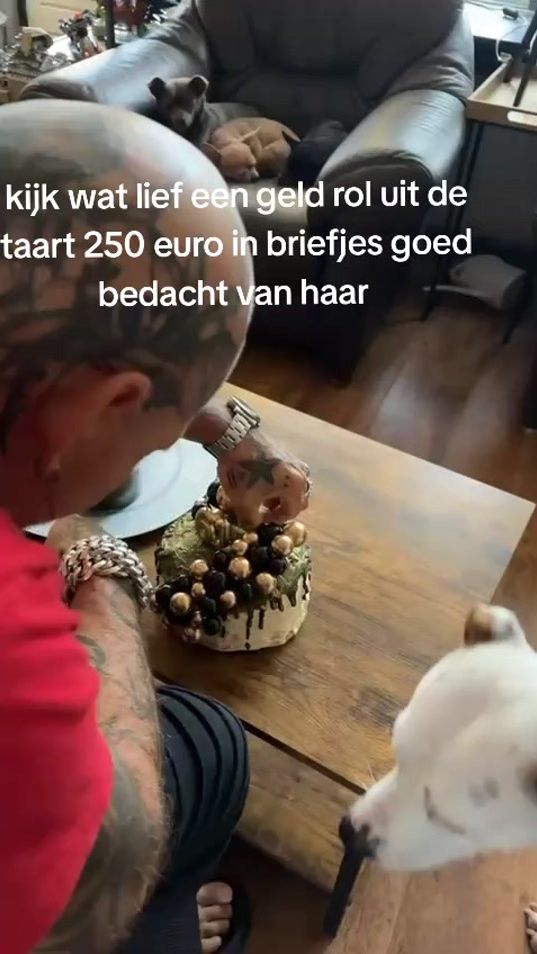 TikTok video thumbnail by robvdmeer