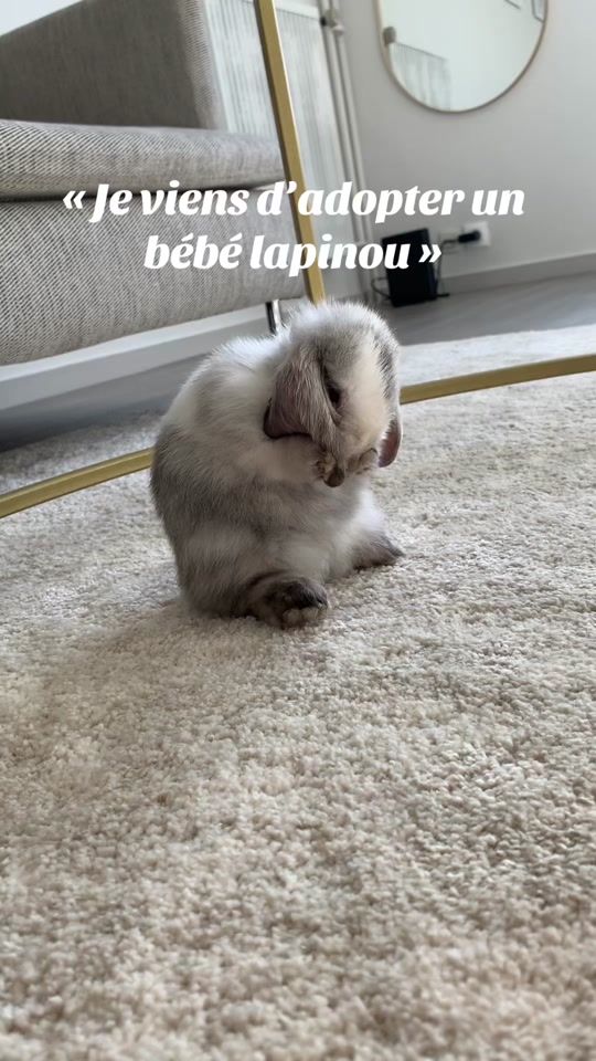 TikTok video thumbnail by olympeeva