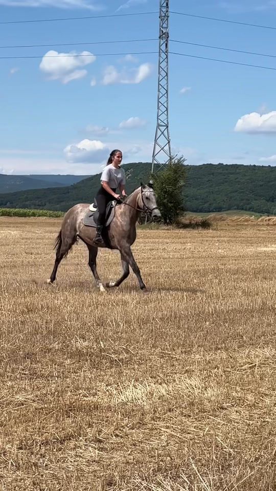 TikTok video thumbnail by golden_rider_