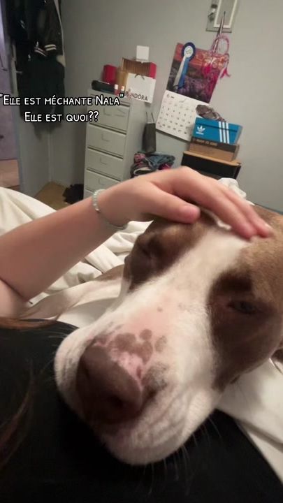TikTok video thumbnail by clemence.v.k
