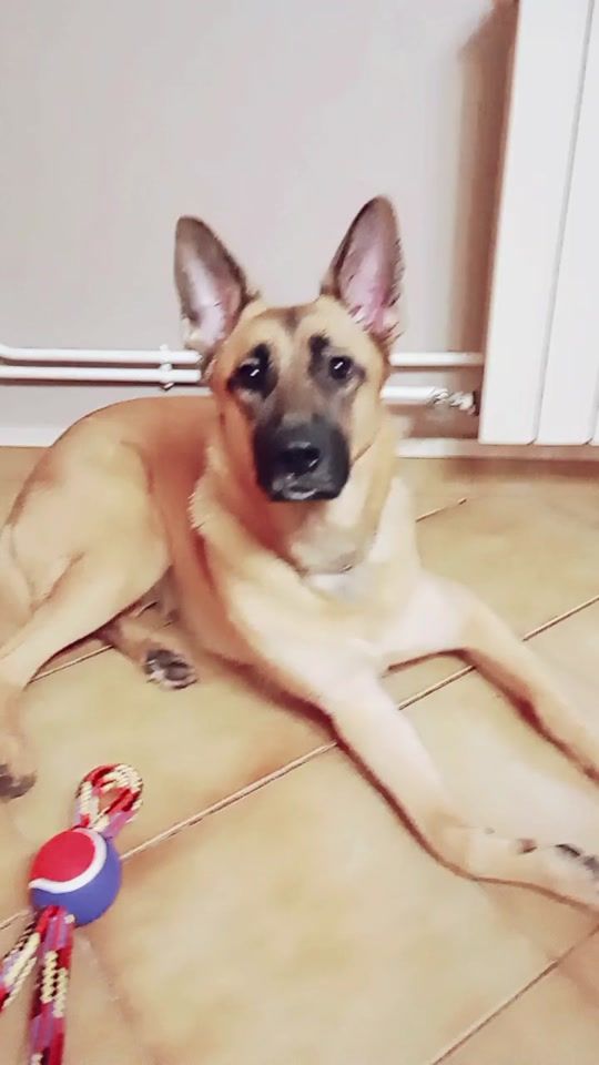 TikTok video thumbnail by ludilenfer