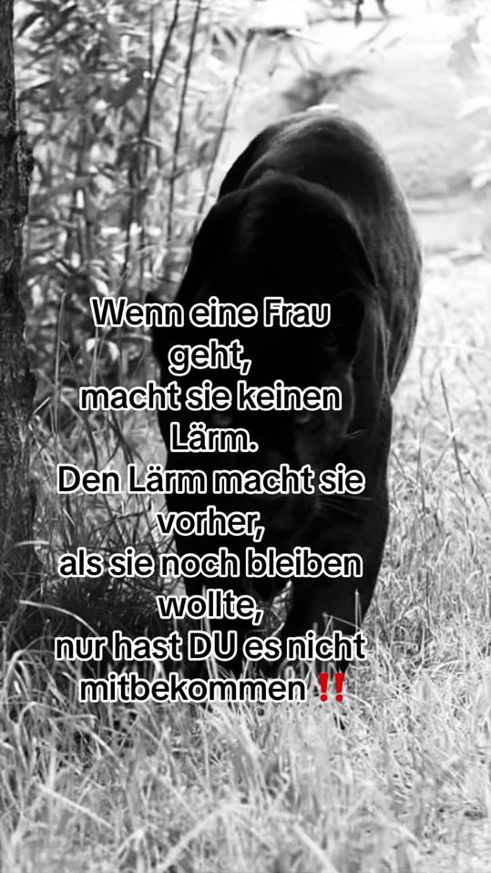 TikTok video thumbnail by black12_4_