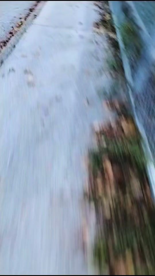 TikTok video thumbnail by baerlibear