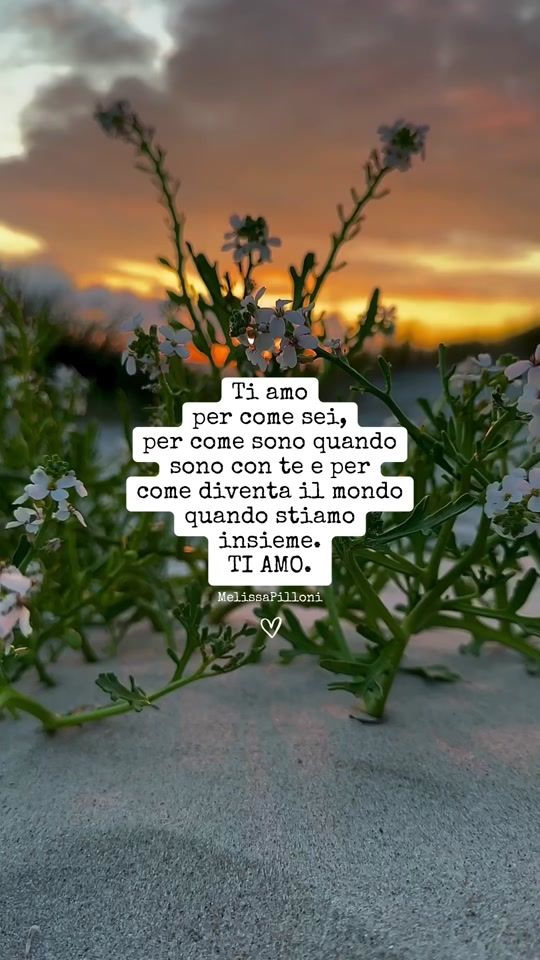 TikTok video thumbnail by melissapilloni