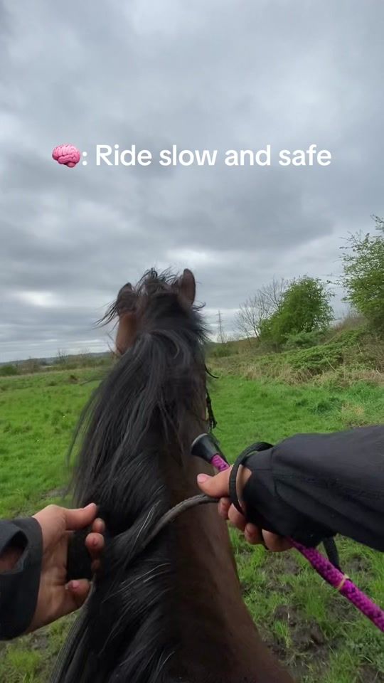 TikTok video thumbnail by hannxhd