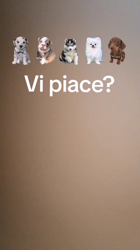 TikTok video thumbnail by squad.camazzu