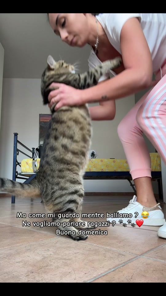 TikTok video thumbnail by giuliafermi1996