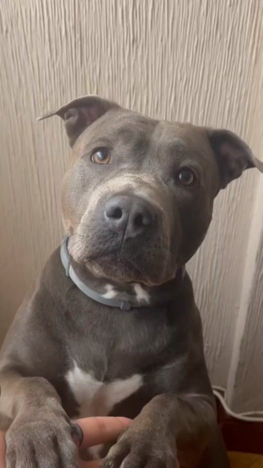 TikTok video thumbnail by nalalamala7