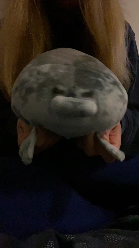 TikTok video thumbnail by seal_lover237