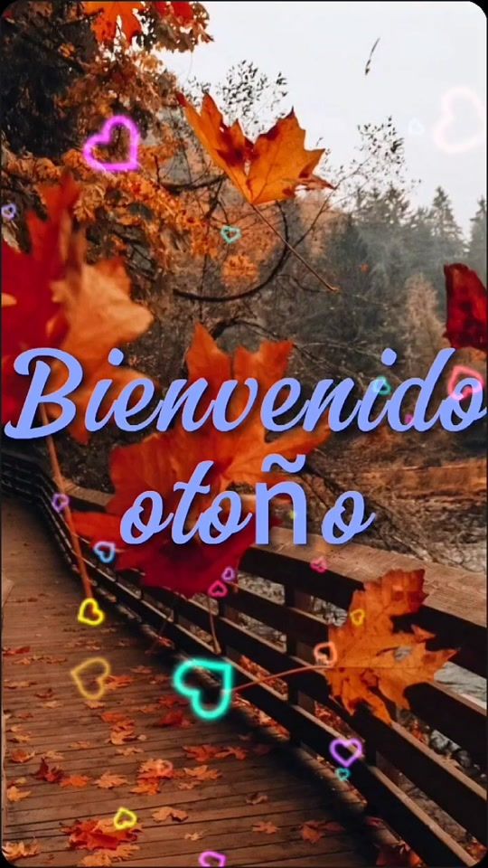 TikTok video thumbnail by mariadelpilar1954