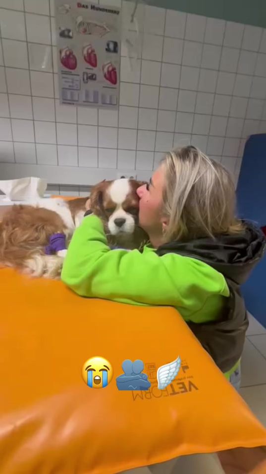 TikTok video thumbnail by iwi.soni