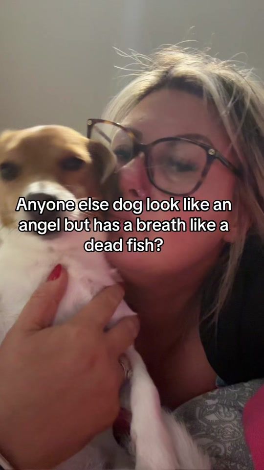 TikTok video thumbnail by lolly.jones82