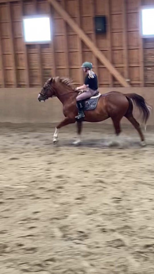 TikTok video thumbnail by kvarnbackens.stall