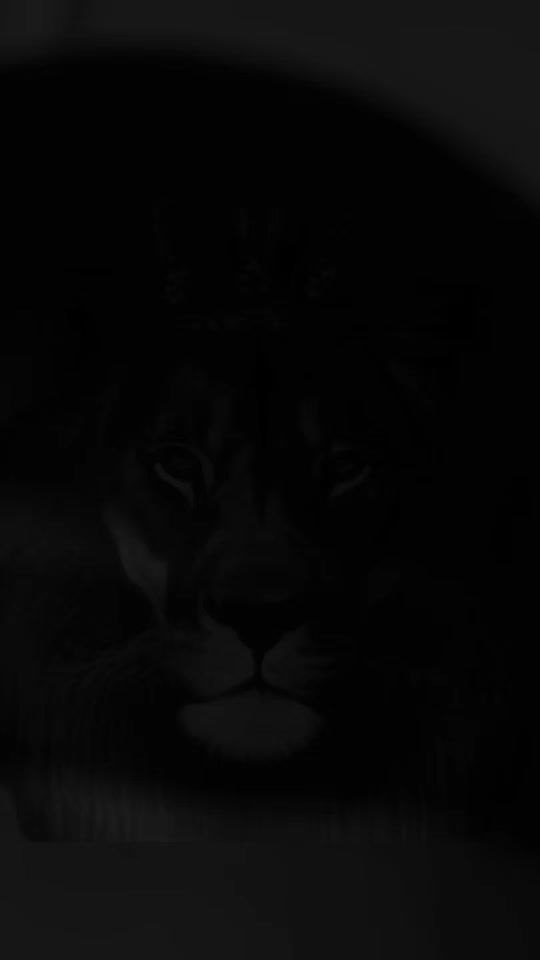 TikTok video thumbnail by ionutmarceltiron.oficial