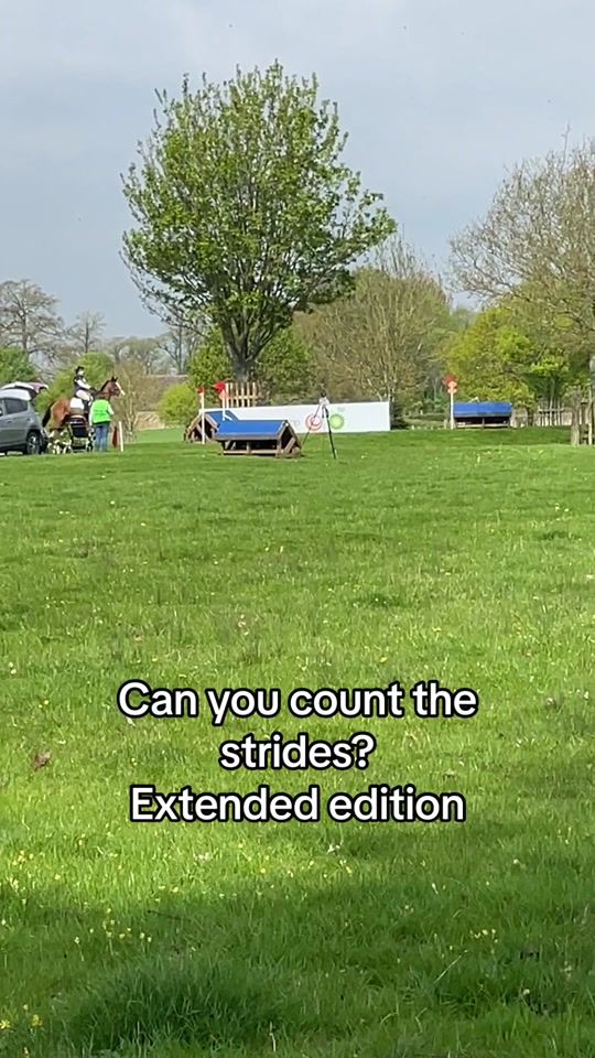 TikTok video thumbnail by eventingequestrian