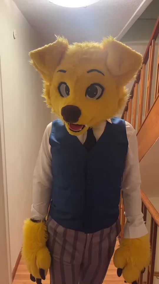 TikTok video thumbnail by thinkerdoggo