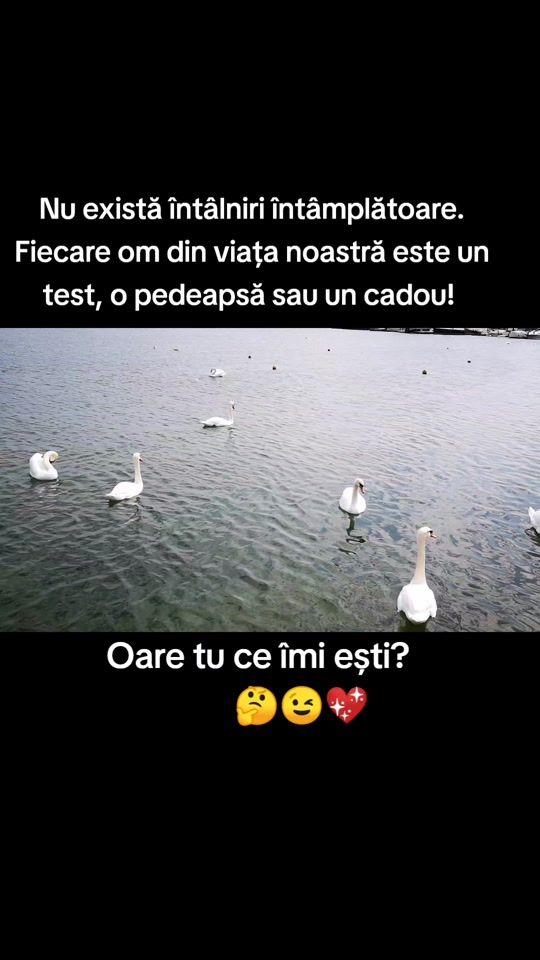 TikTok video thumbnail by user2751621359232