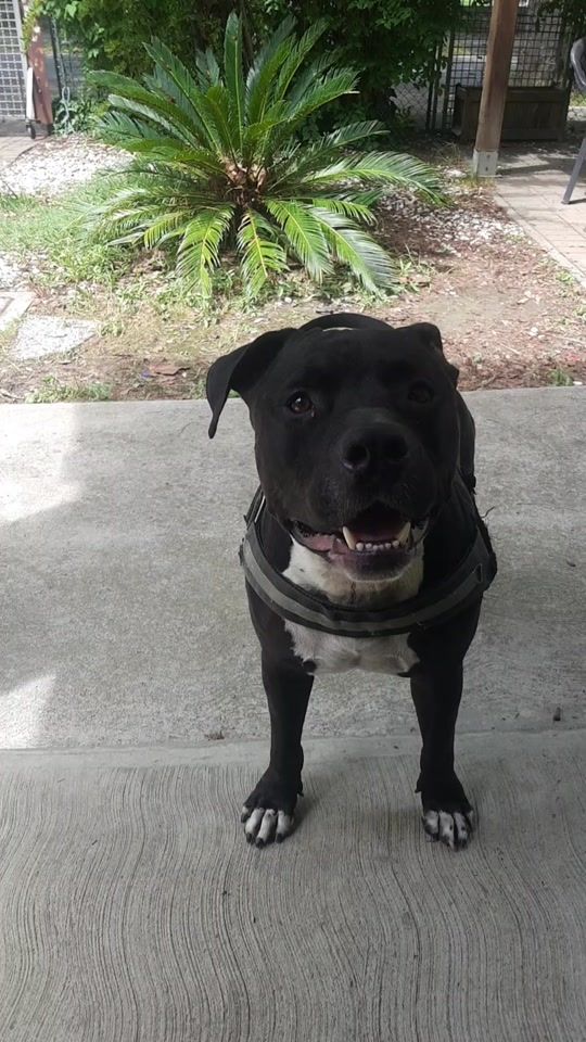 TikTok video thumbnail by cecilialaskleroaaron