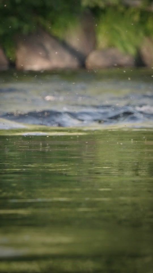 TikTok video thumbnail by looptackle