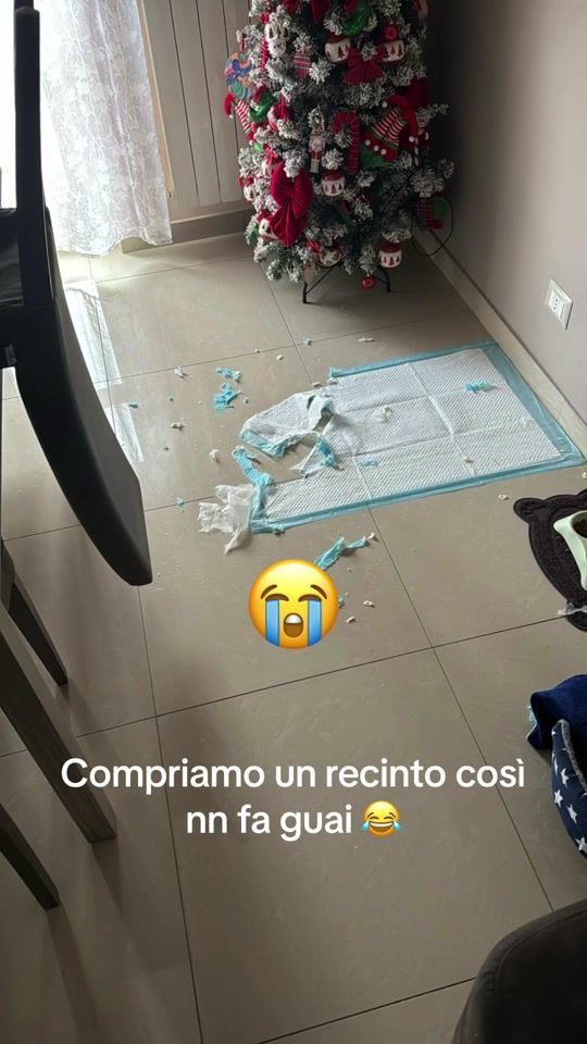 TikTok video thumbnail by federica19934