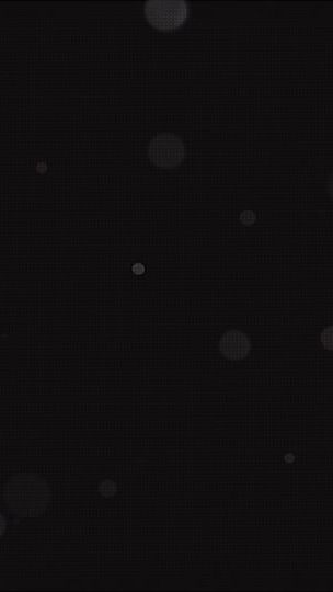 TikTok video thumbnail by whitewinged.dovee