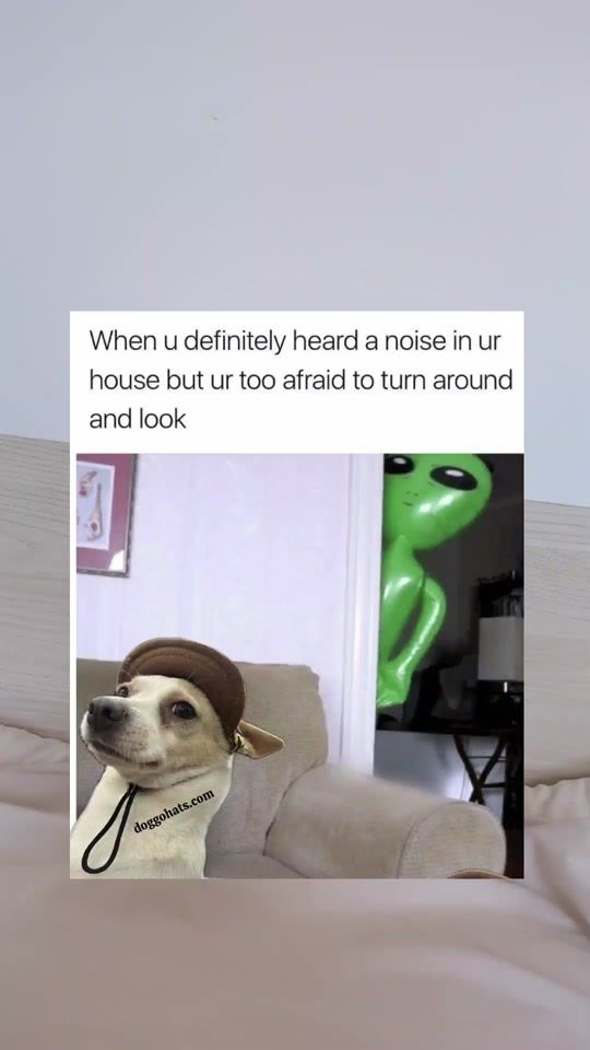 TikTok video thumbnail by g.memez