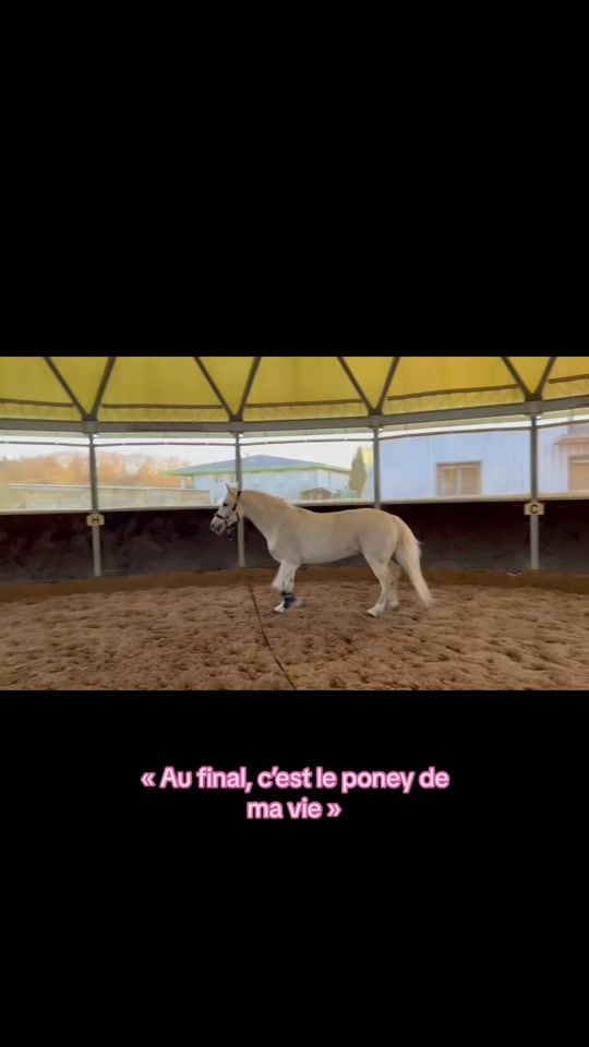 TikTok video thumbnail by alicia_et_nesprit