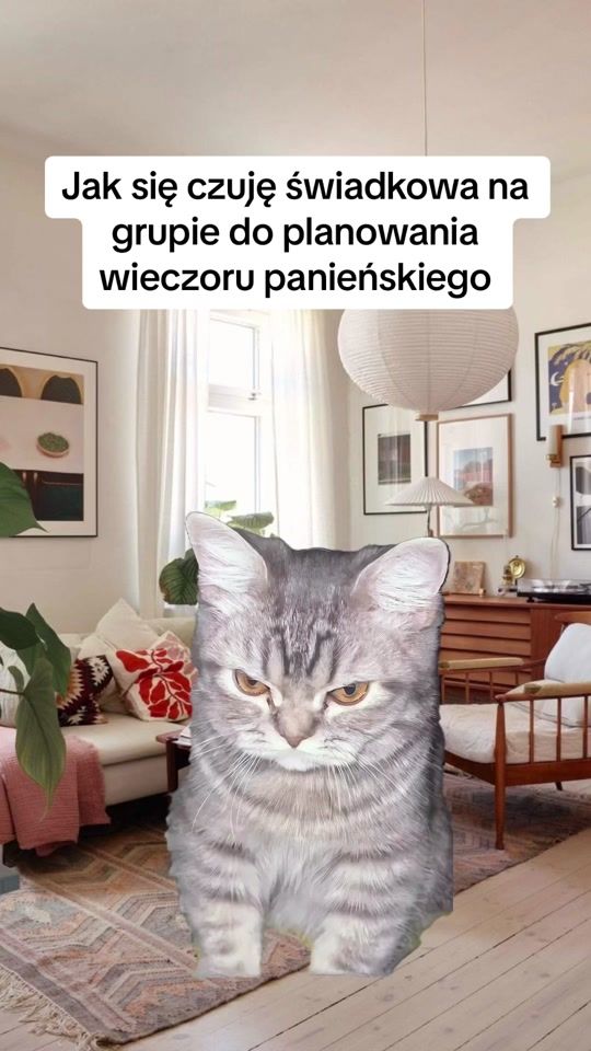 TikTok video thumbnail by takemeout_deco