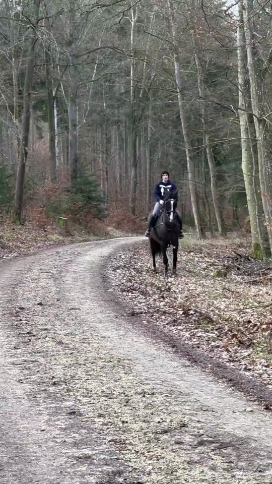 TikTok video thumbnail by hearthhorses