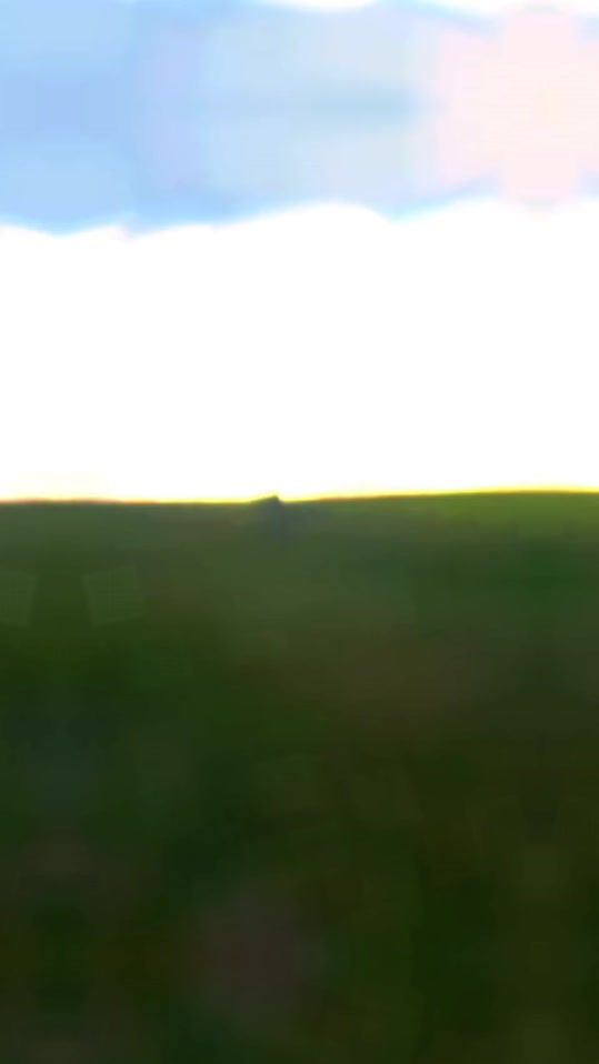 TikTok video thumbnail by mihalcea_andrei2