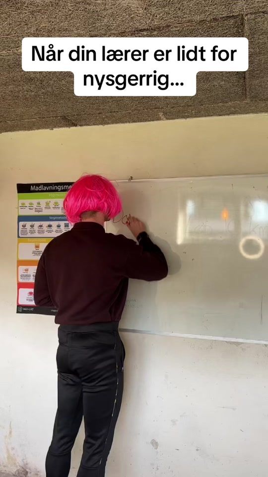 TikTok video thumbnail by hosholmberg