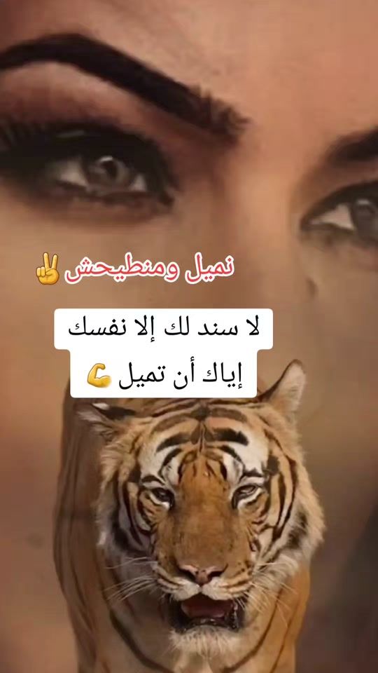 TikTok video thumbnail by sonne2026.1